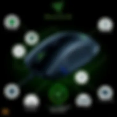 Notable A Comprehensive Overview of the Razer Mouse V2