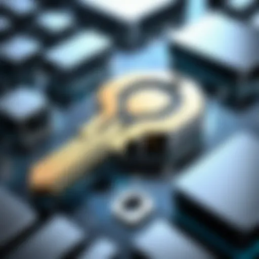 Abstract key design symbolizing affordable software solutions