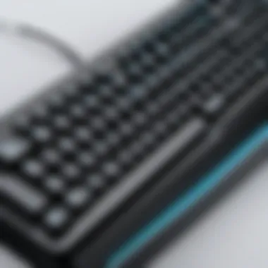 Customization Options Hot-Swappable Keyboard