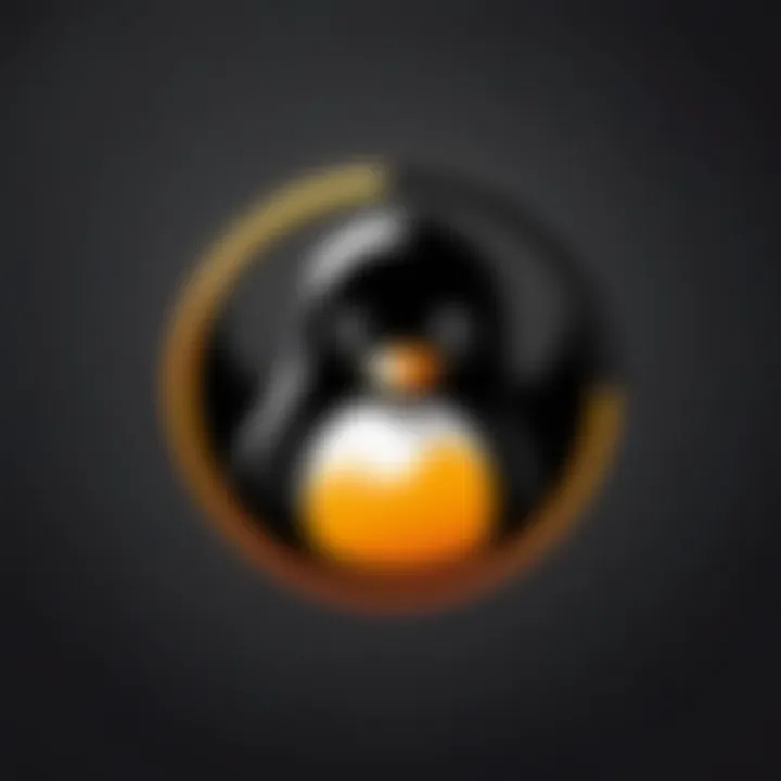 Visual representation of Linux logo