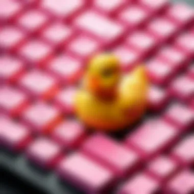 Cultural significance and community around Ducky pink keyboard