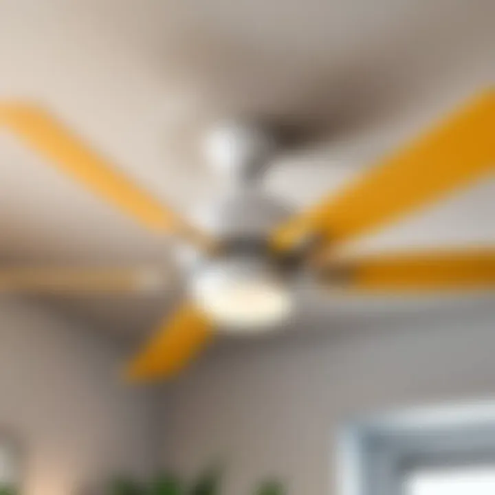 Energy-Efficient Ceiling Fan with LED Lights