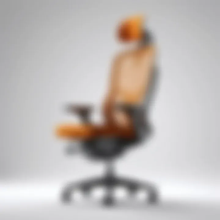 Ergonomic Excellence Chair