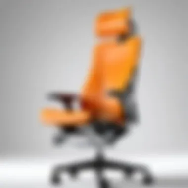 Ergonomic Excellence of Embody Chair