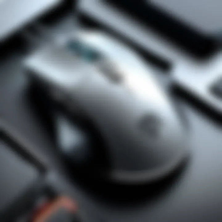 Gaming mouse customization features