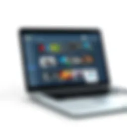 A detailed view of a laptop screen displaying eBay listings