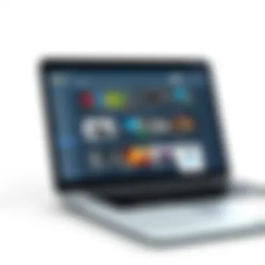 A detailed view of a laptop screen displaying eBay listings