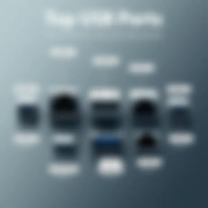 Diverse USB Port Types Overview of various USB port types with labels