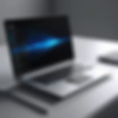 Diverse Budget Laptop Models for Professionals Laptops arranged to showcase various designs