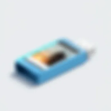 Efficient Photo Organization on Flash Drives Organized photo library on a modern flash drive