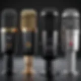 Various microphone types suitable for video recording